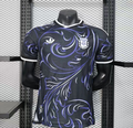 Argentina Away 2026 World Cup football jersey — colour variation, clearance size 2XL