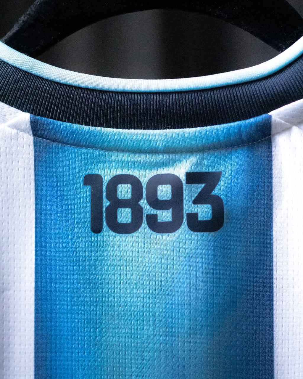 Argentina 2026 World Cup Home Jersey Fan Version – photo 4