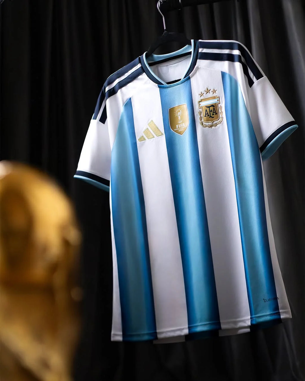 Argentina 2026 World Cup Home Jersey Fan Version – photo 5